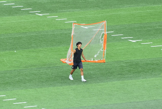 开放性和进